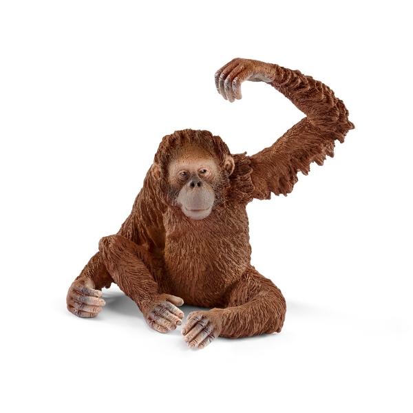 Schleich 14775 Orang-Utan Weibchen