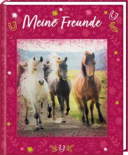 Coppenrath 71803 Freundebuch: Pferdefreunde - Meine Freunde (mit 3-D-Bild)